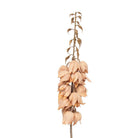 Artificial flower 100 cm Brown Plastic by Clayre & Eef.
