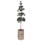 Mini Artificial Christmas Tree 14x14x60 cm Green Wood by Clayre & Eef.