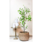 Kunstplant - Tropseolum attractive - Oost Indistent - 150 cm by Green boutiQ