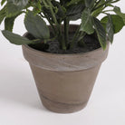 Artificial plant Rosebush White by Mica Decorations