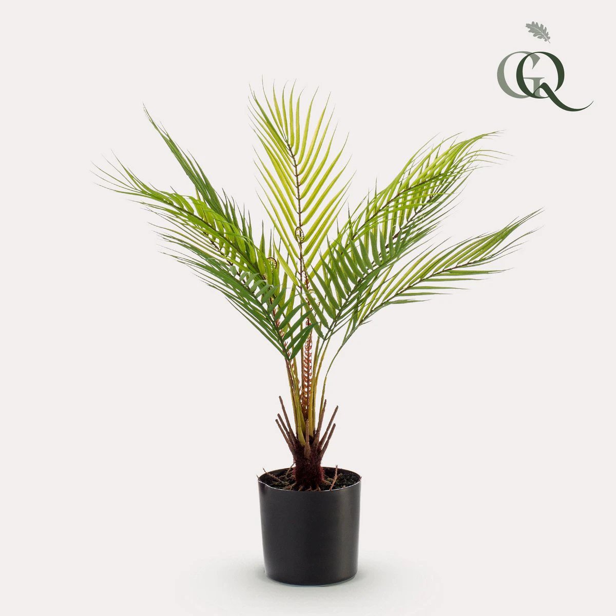 Art plant - Chamaedorea - Bergpalm - 50 cm by Green boutiQ