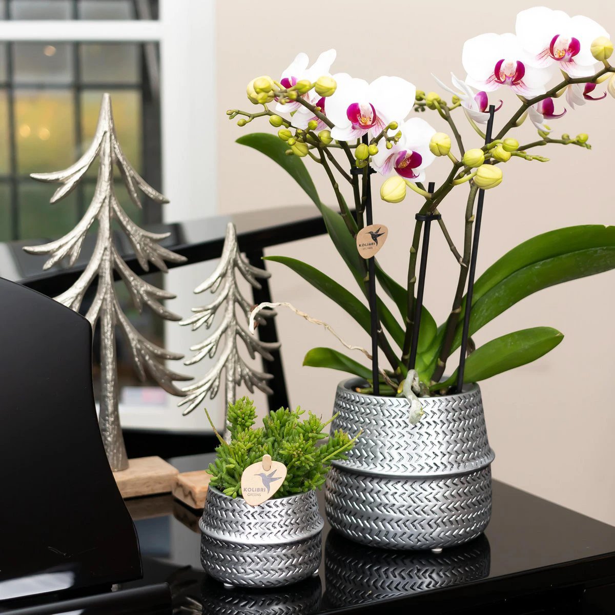 Kolibri Home | Groove Flowerpot - Silver Ceramic Sierpot - Ø6cm by Kolibri Company