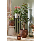 Plant stand Ascot Black by Mica Decorations