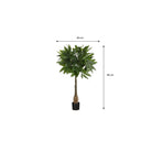Artificial plant Pachira Green by Mica Decorations