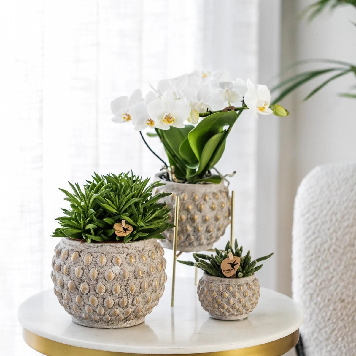 Hummingbird Home | Plant stand - Gold metal plant stand Ø12cm by Kolibri Company