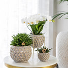 Hummingbird Home | Plant stand - Gold metal plant stand Ø12cm by Kolibri Company