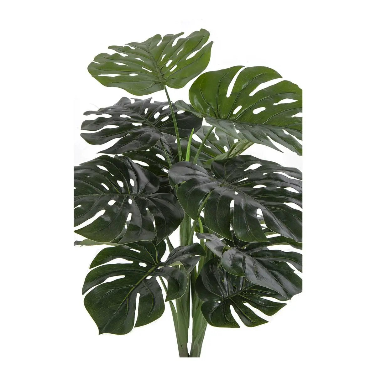 Monstera - Green, PE Plastic/Polyester/Wire/Cement, 17x18x90 cm by EMIRELLE