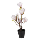 Artificial tree Magnolia 12x12x40 cm White Plastic by Clayre & Eef.