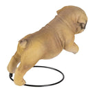 Decoration dog 18x12x14 cm by Clayre & Eef.
