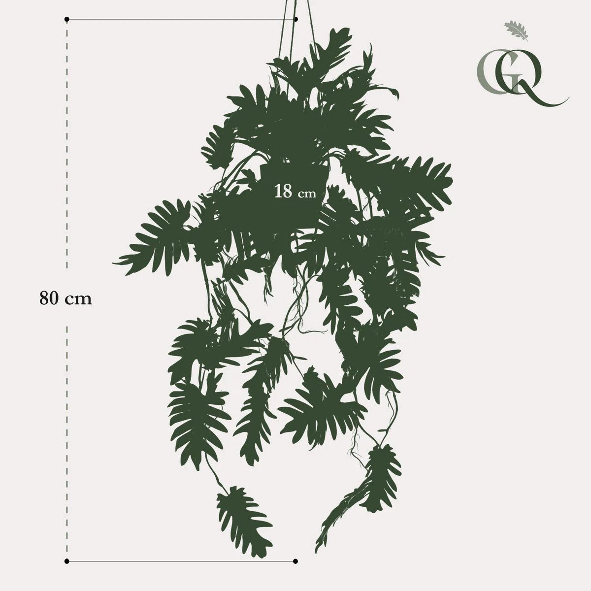 Art plant - Philodendron - Climbing tree lover - 80 cm by Green boutiQ