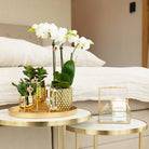 Hummingbird Home | Metallic diamond flower pot - Golden ceramic decorative pot Ø9cm by Kolibri Company