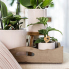 Hummingbird Home | Pastel pot pink - Ø9cm by Kolibri Company