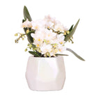 Hummingbird Orchids | White orchid 'Nazaré' + Pearl jewelry pot Travertine - pot size Ø9cm | blooming houseplant - fresh from the grower by Kolibri Company