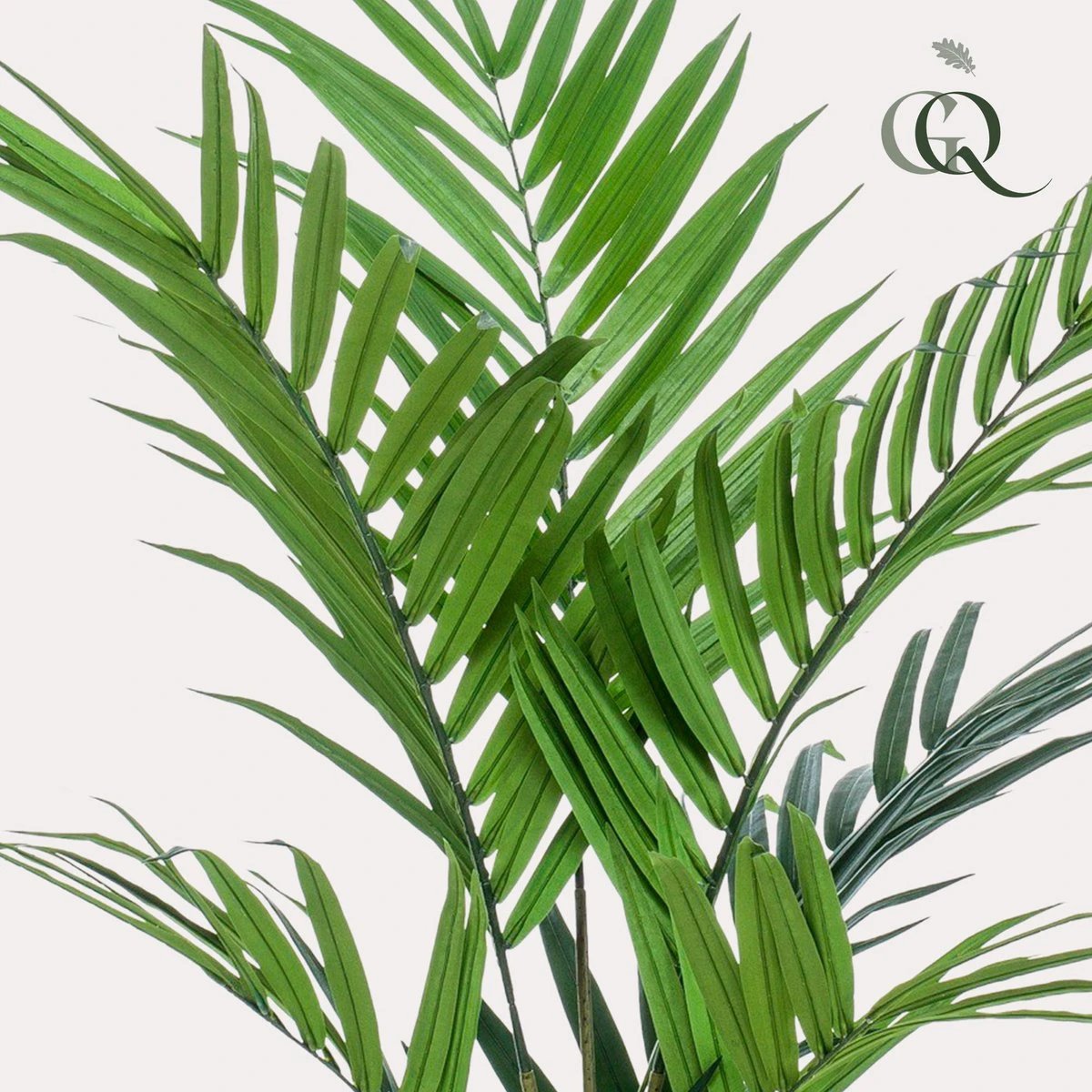Art plant - Kentia -Kentiapalm - 180 cm by Green boutiQ