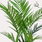 Art plant - Kentia -Kentiapalm - 180 cm by Green boutiQ