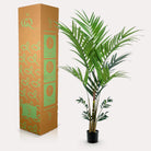 Art plant - Kentia -Kentiapalm - 180 cm by Green boutiQ
