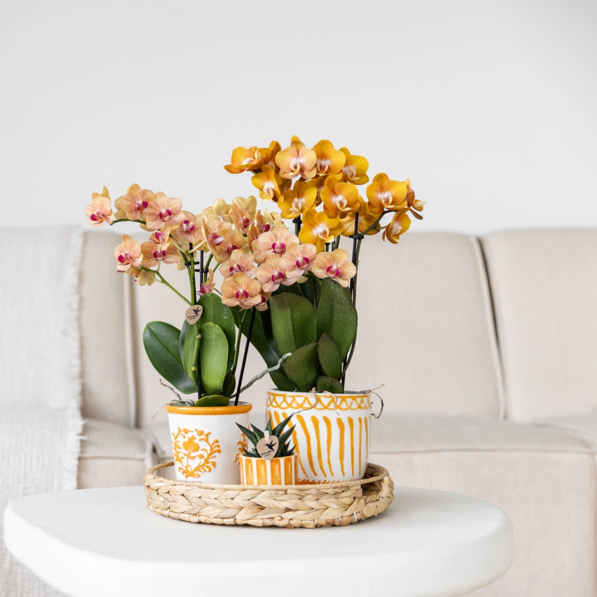 Kolibri Home I Malaga pot - Orange - Ø9cm by Kolibri Company