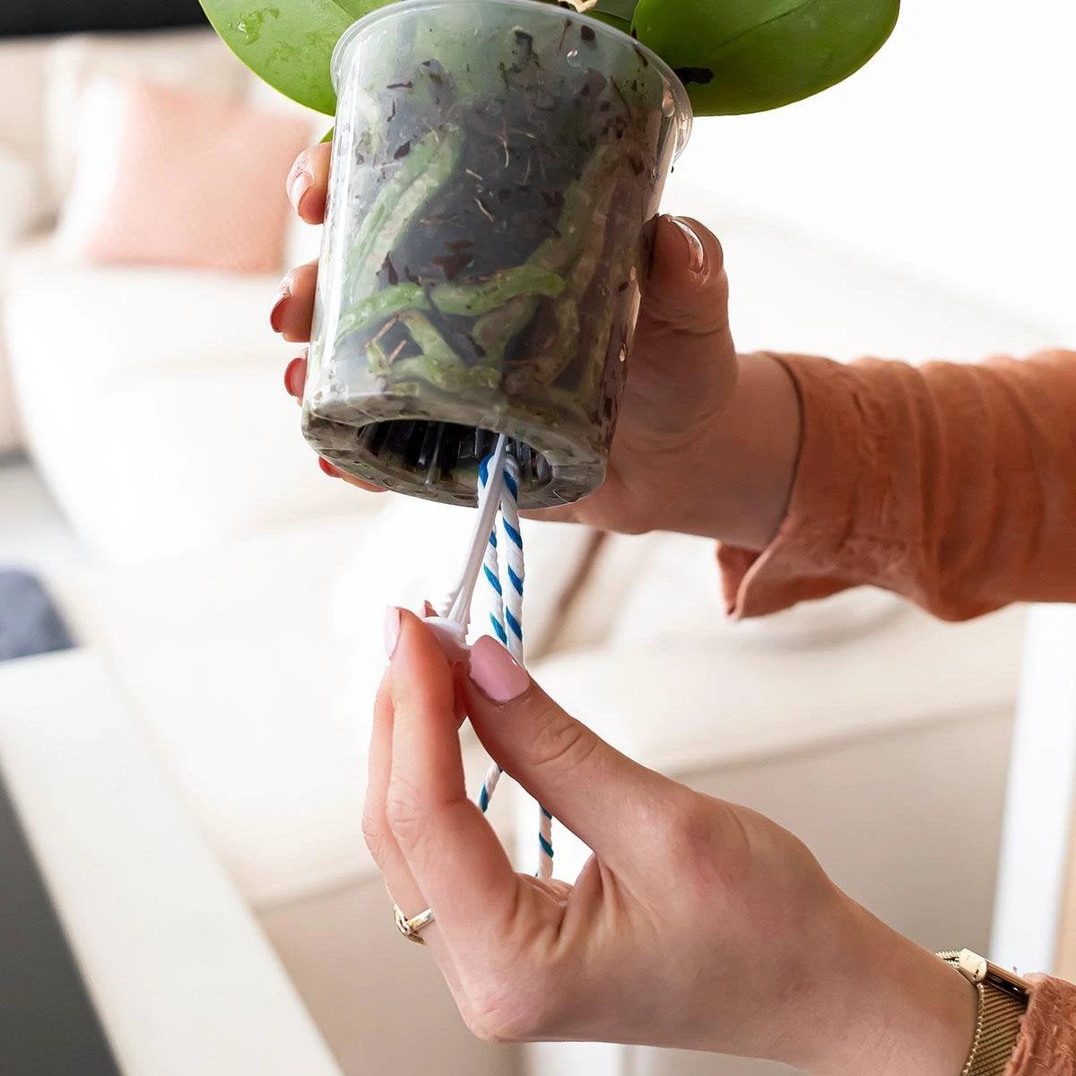 Hummingbird Home | WaterWick watering wick (3 pieces) by Kolibri Company
