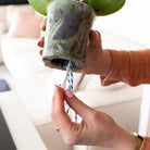 Hummingbird Home | WaterWick watering wick (3 pieces) by Kolibri Company
