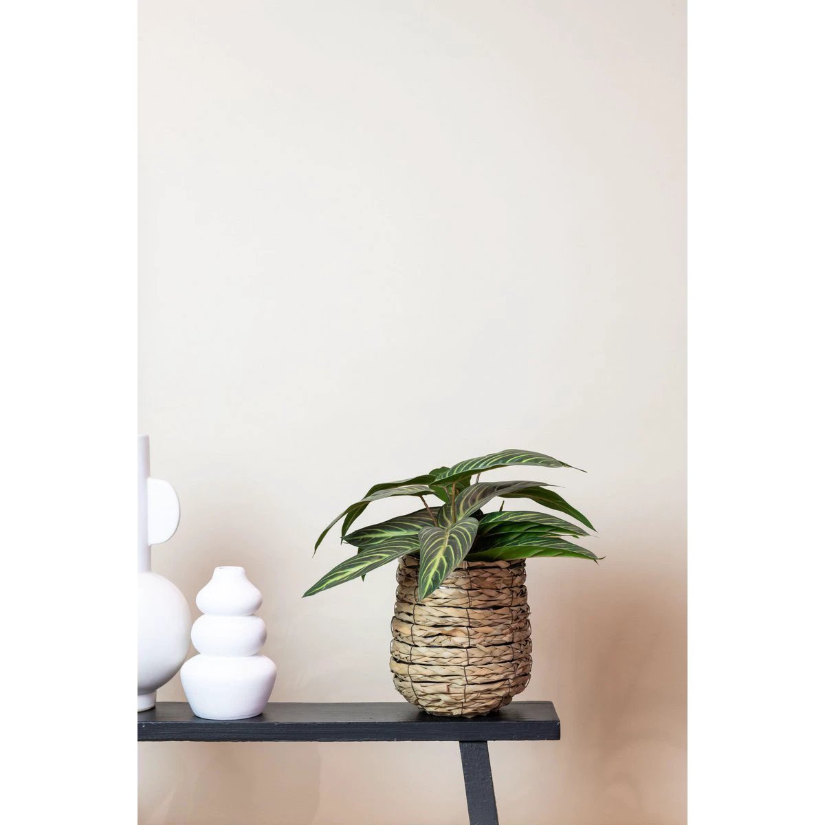 Kunstpflanze – Calathea Zebrina – Schattenpflanze – 38 cm von Green boutiQ