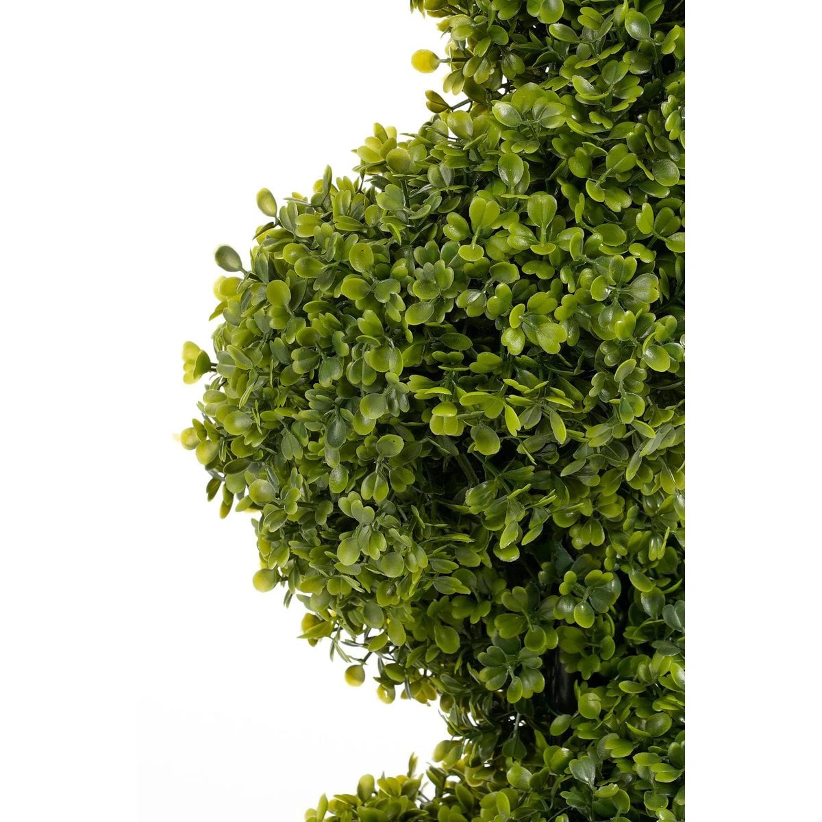 Artificial plant Boxwood Green by Mica Decorations