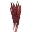 Dried flowers bamboo 100 cm (10) by Clayre & Eef.