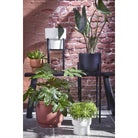Plant stand Ascot Black by Mica Decorations
