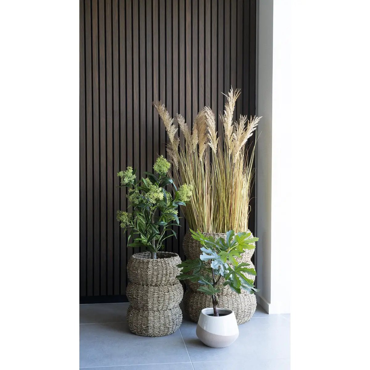 Fig Tree - Green, PE Plastic, H:60 cm by EMIRELLE