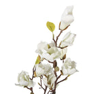 Artificial plant Magnolia 16x14x60 cm White Plastic by Clayre & Eef.