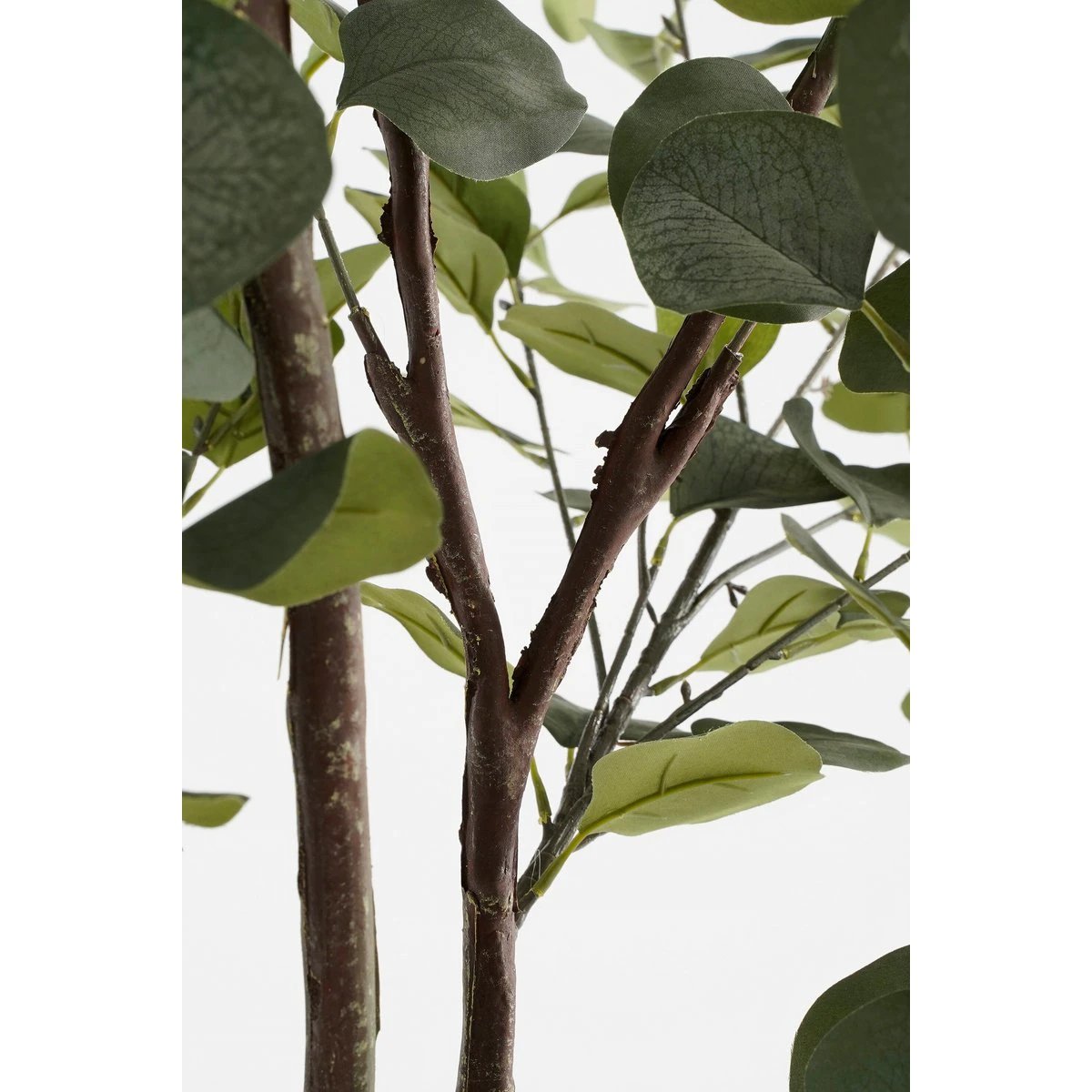 Artificial plant Green by Mica Decorations