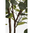 Artificial plant Green by Mica Decorations