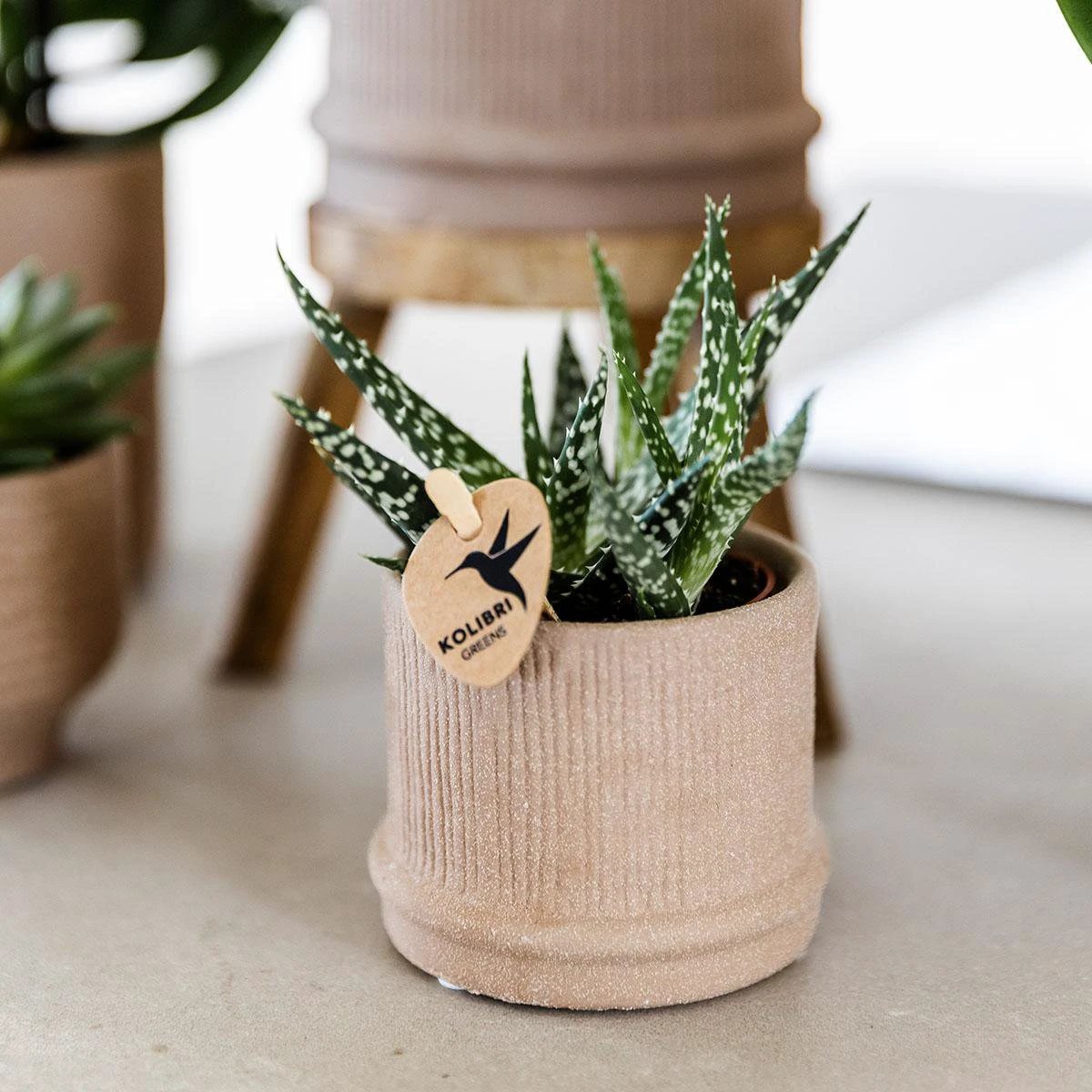Hummingbirds Home | Bali sierpot - Sand - Ø6cm by Kolibri Company