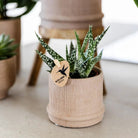 Hummingbirds Home | Bali sierpot - Sand - Ø6cm by Kolibri Company