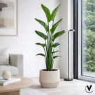 Plantenpot - Krabi matte sand by Vase The World