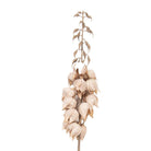 Artificial flower 100 cm beige plastic by Clayre & Eef.