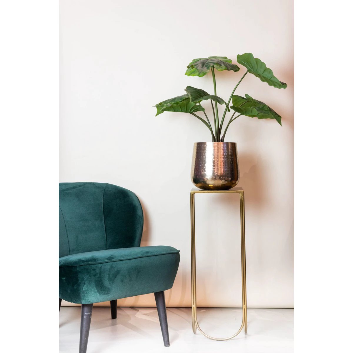 Art plant - Alocasia - Elephants ear - 70 cm by Green boutiQ