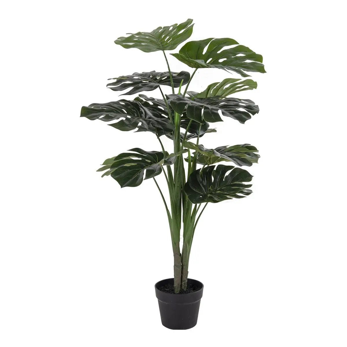 Monstera - Green, PE Plastic/Polyester/Wire/Cement, 17x18x90 cm by EMIRELLE