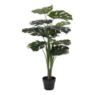 Monstera - Green, PE Plastic/Polyester/Wire/Cement, 17x18x90 cm by EMIRELLE