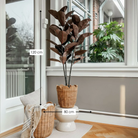 Artificial plant Rubber plant Red by Mica Decorations
