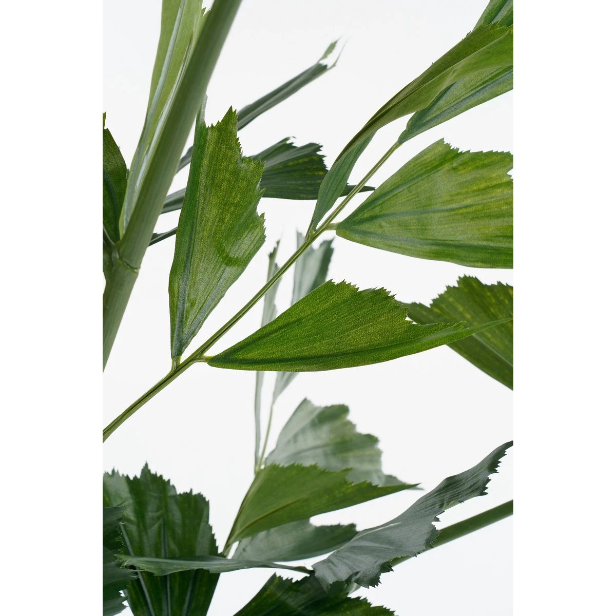 Artificial Plant Fishtail Green by Mica Decorations