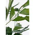 Artificial Plant Fishtail Green by Mica Decorations
