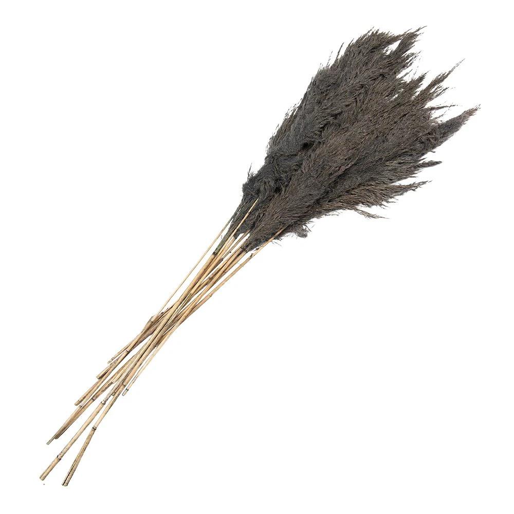 Getrocknete Blumen Bambus 100 cm (10) von Clayre & Eef.