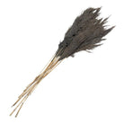 Getrocknete Blumen Bambus 100 cm (10) von Clayre & Eef.