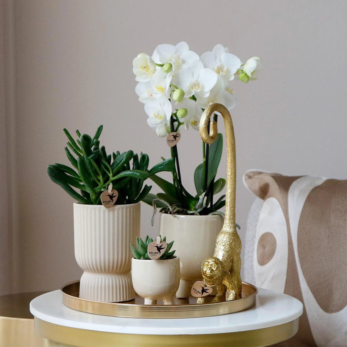 Hummingbird Home | Combi deal - Gummy travertine pots by Kolibri Company