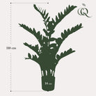 Artificial plant - Zamioculcas - City palm - 110 cm by Green boutiQ
