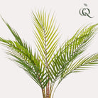 Art plant - Chamaedorea - Bergpalm - 50 cm by Green boutiQ