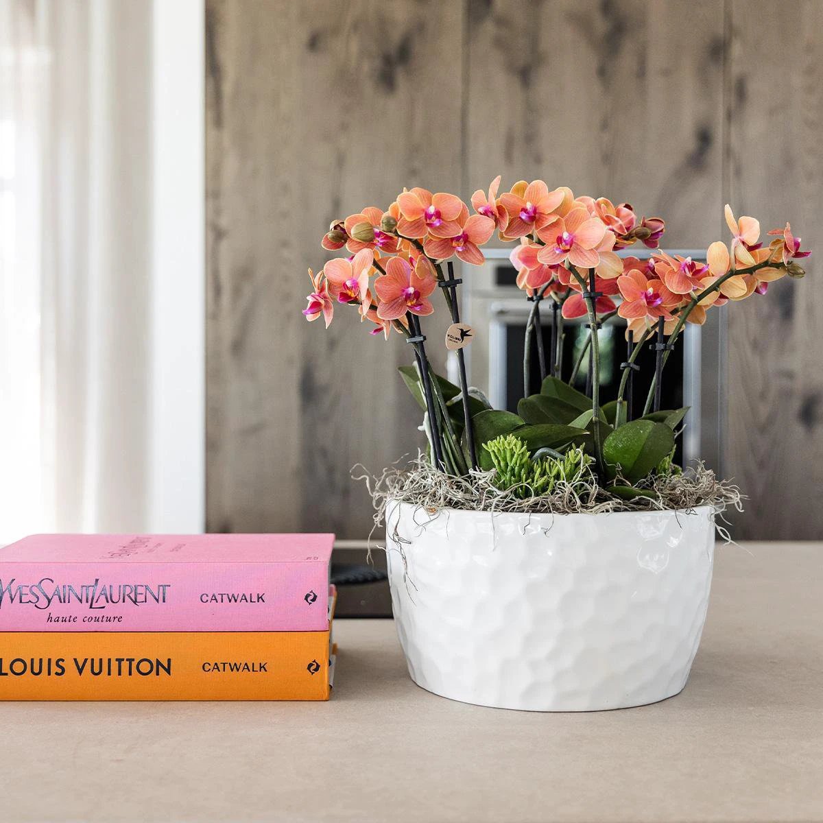 Hummingbird Orchids | orange plant set in Honey dish incl. water reservoir | three orange orchids Bolzano 9cm and three green plants | Jungle Bouquet orange with self-sufficient water reservoir by Kolibri Company