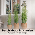 Artificial Plant Ornamental Grass Purple by Mica Decorations