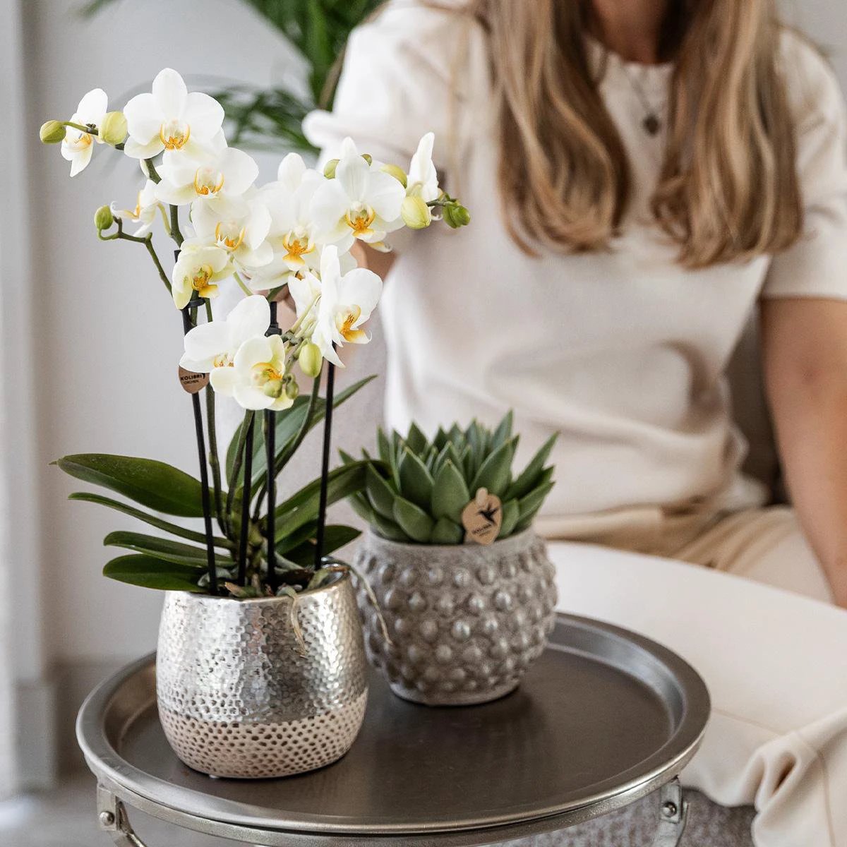 Hummingbird Home | Elite silver pot - Ø12cm by Kolibri Company