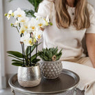 Hummingbird Home | Elite silver pot - Ø12cm by Kolibri Company